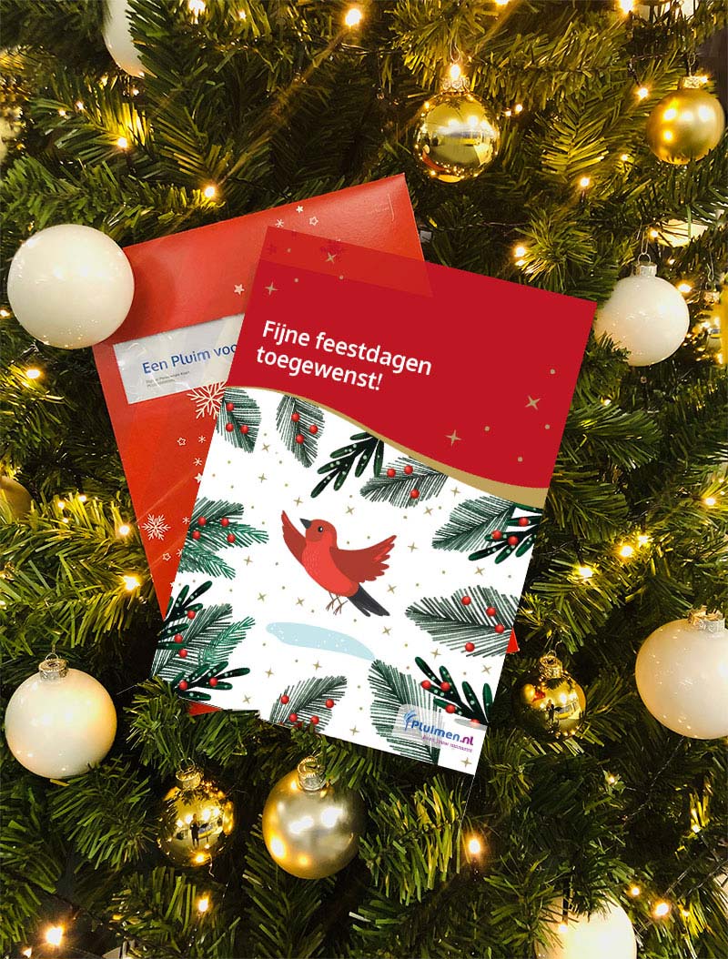 Norm Buitengewoon Verovering 1 Kerst cadeaubon | Pluimen.nl