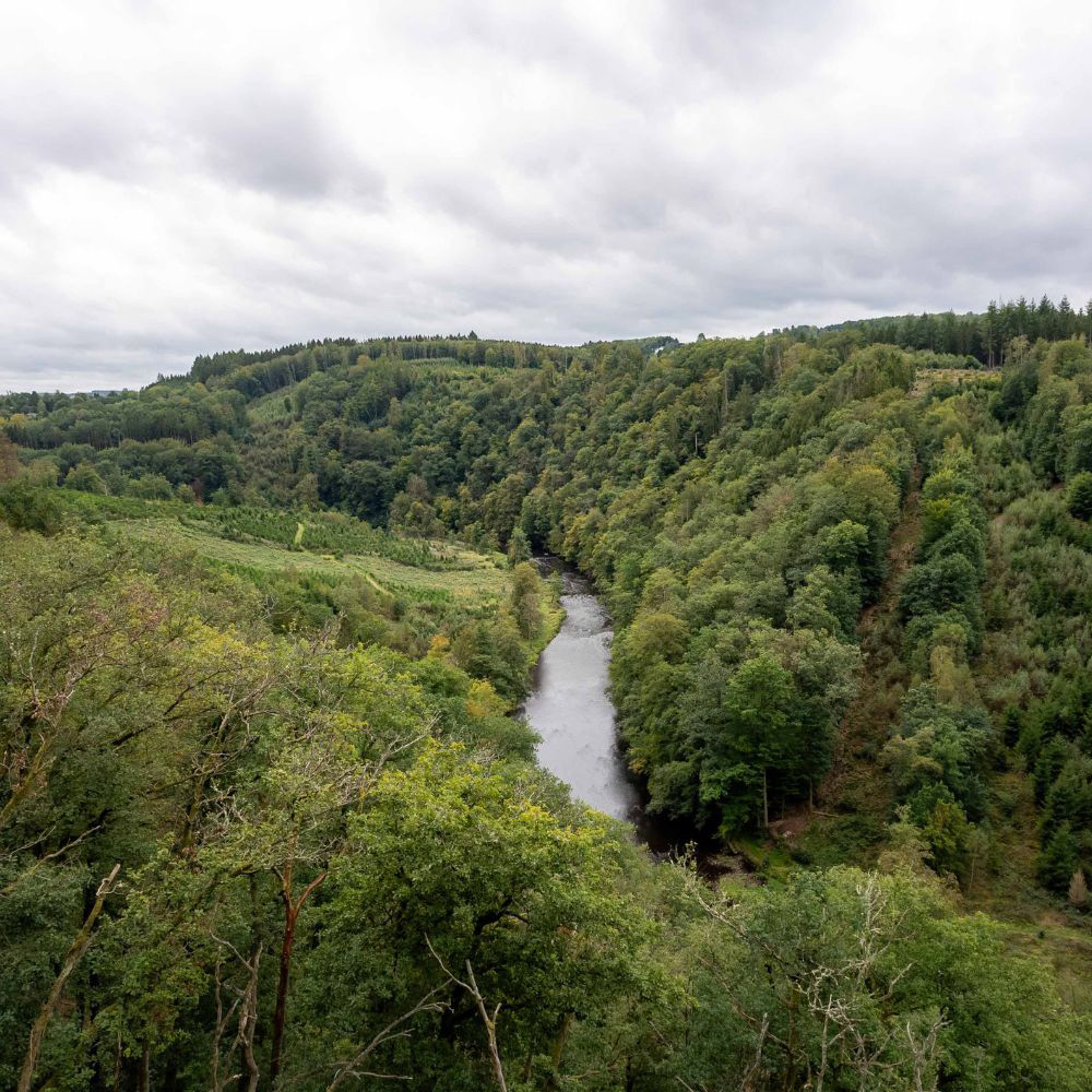 Zomergift_Ardennen